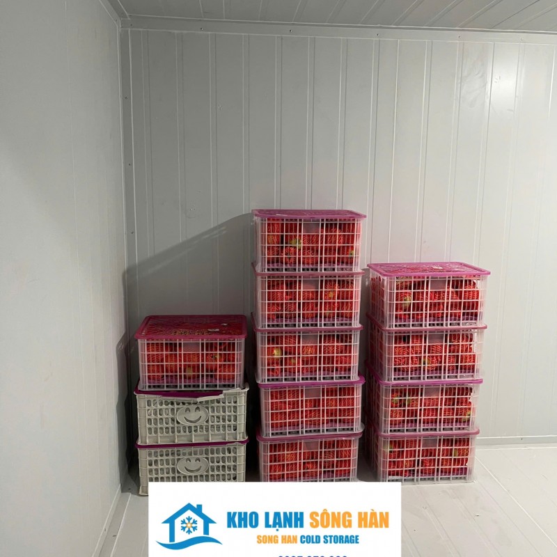 lắp kho lạnh bảo quản trái cây